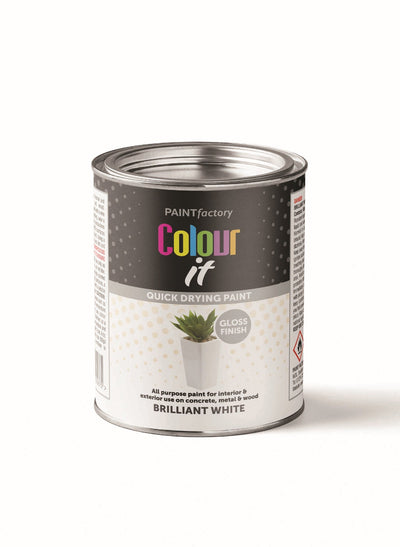 WHITE GLOSS PAINT 300ML TIN
