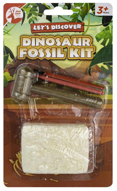 DINOSAUR FOSSIL KIT