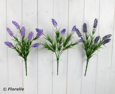 3 ASST. COLOURS LAVENDER BUSH