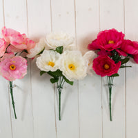 3 ASST. COLOURS PEONY BUSH