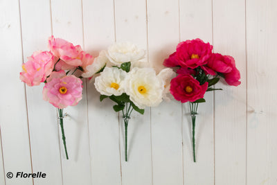 3 ASST. COLOURS PEONY BUSH
