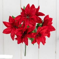 GLITTER CENTRE RED POINSETTIA BUSH