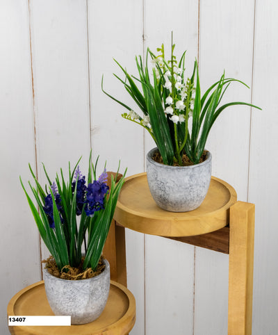 LAVENDER AND BELL FLOWER IN CLAY POT&nbsp;