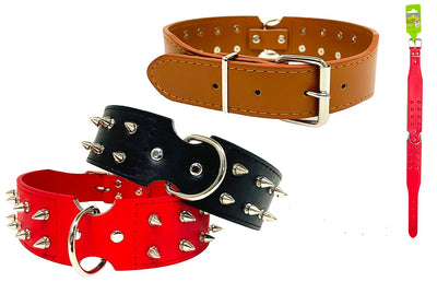 ASST. COLOURS LARGE STUDDED DOG COLLAR