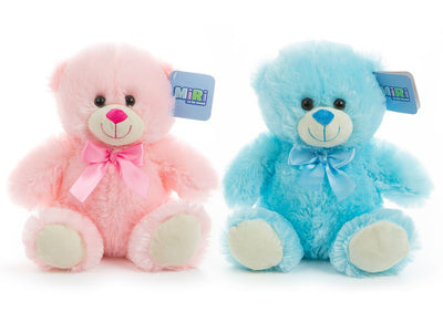 PINK AND BLUE 25CM ASST. BEAR