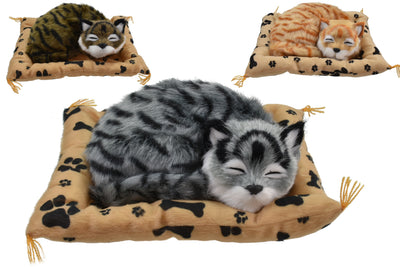 CAT ON BLANKET 24CM WITH SOUND