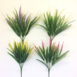 4 ASST. FERN BUSH