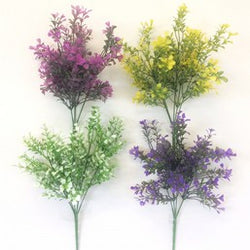 4 ASST. BOXWOOD BUSH