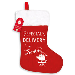 SPECIAL DELIVERY XMAS STOCKING