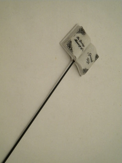 Son/Daughter book stick message